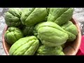 Let’s HARVEST CHAYOTE/XUXU from my Kitchen Garden 2024.Its healthy and delicious ( First harvest)