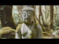 Whispers of the Forest | Meditative Flute Music for Deep Relaxation