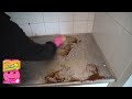 CLEANING THE NASTIEST AND DUSTIEST HOUSE EVER!!
