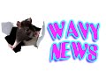Wavy News 11/4/2019 (19-009)