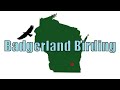 Take the Birding Checklist Challenge! (Migration Madness May Challenge 2024)