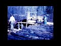Running a sawmill in Baltimore, NB.  1975