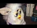 New Furby!