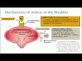 Overview of Effective OAB Management