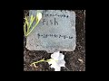 Fish’s Funeral