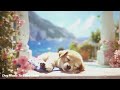 Calming music for noisy dogs💖🐶 Sleep music, Separation Anxiety Music, Relax your dogs