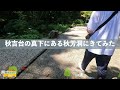 【山口旅】#千畳敷と秋吉台と秋芳洞が絶景すぎた　最終回【夫婦旅】