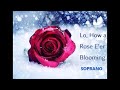 Lo, How a Rose E'er Blooming SOPRANO