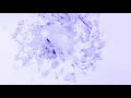 Marshmello x Eptic - HITTA (Feat. Juicy J)