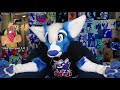 PROS & CONS OF FURSUITS [The Bottle Ep27]