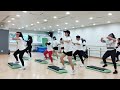 STEP AEROBICS BEGINNER / EXERCISE WORKOUT