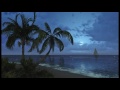 1 hour of Tropical Beach Sounds at night. Relaxing sea waves to help sleep.