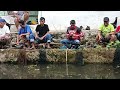 MANCING BORONGAN IKAN MAS  KOLAM KECIL