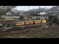 Pelicans Nest 12:  Christmas Tree and Garden Railroad