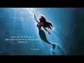 Part of Your World (Broadway Piano & Orchestra Version) - The Little Mermaid - by Sam Yung
