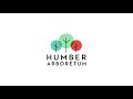 Wild Columbine - Native Plants of Ontario with the Humber Arboretum