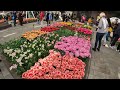 KEUKENHOF GARDENS (AMSTERDAM): 7 Million Flowers! Greatest Flower Display on Earth? (4K)