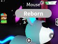 Getting a Neon Mouse! (AM).