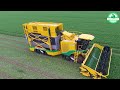 The Most Modern Agriculture Machines That Are At Another Level , How To Harvest Mango   In Farm
