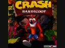 Crash Bandicoot 1 - Hog Wild, Whole Hog Music