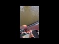 Catching crazy monster fish out of a flooded lake.