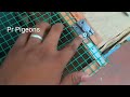 How to make pigeon cage 😍 | apple box making pigeon loft | pura koondu saivathi eppadi | low cost 🤩