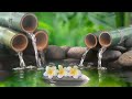 Relaxing Piano Music & Water Sounds | Bamboo, Calming Music, Meditation Music,Nature Sounds, Working