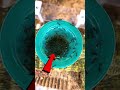 Ants Eating Green Jello