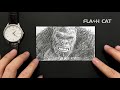 Flipbook —Godzilla VS Kong