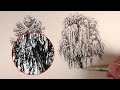 How to Draw Trees with Pen and Ink