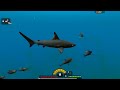 THE GIANT SHARK SHOAL!! - Fish Feed Grow | 21