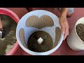 Outstanding Creative Ideas - How To Make The Simplest And Most Beautiful Cement Flower Pot At Home