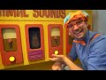 Blippi Visits Discovery Children's Museum!  | Animals for Kids | Animal Cartoons