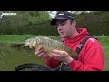 Simple Sweetcorn Fishing Tips