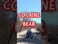 i have become the cocaine bear