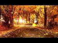 Sexy & Relaxing Autumn Jazz Music, Relaxing Cosy Jazz with Autumn Falling Leaves, Deep Relaxation