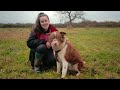 RESCUE | A Documentary on Britain's Animal Crisis