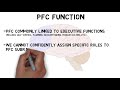 2-Minute Neuroscience: Prefrontal Cortex