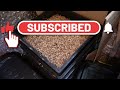 How to protect your worm bin in winter