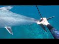 Spearfishing Hawaii - KAPzooka