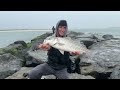 EVERYTHING was Biting on the Jetty!!! NJ Surfcasting!