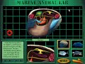 Undersea Adventure (Windows Version) Marine Animal Lab: Clam