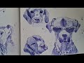 sketch with me | ft. cute dogs °☆♡~