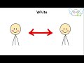 Every Color Psychology Explained in 13 Minutes