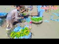 Fruit Market Ahmad Pur East// سبزی منڈی احمد پور شرقیہ