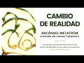 CAMBIO DE REALIDAD | Arcángel Metatrón vía James Tyberonn