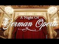A Night Of German Opera