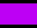LED Purple Screen 2hr No Ads #ledlights #colors #purple #nosound #mood #chromakey #asmr #nightlight