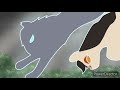 Wings of Salvation - Warrior Cats