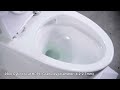 toilet design